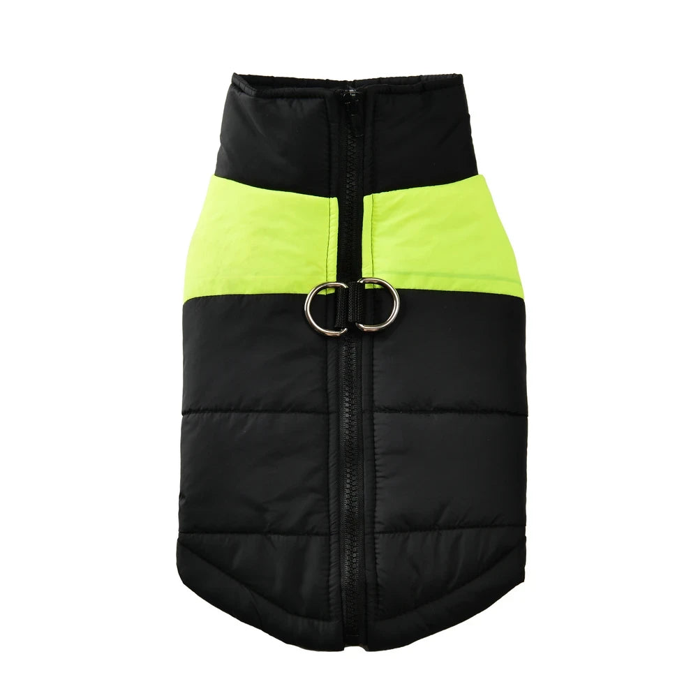 Insulated Waterproof Dog Winter Jacket