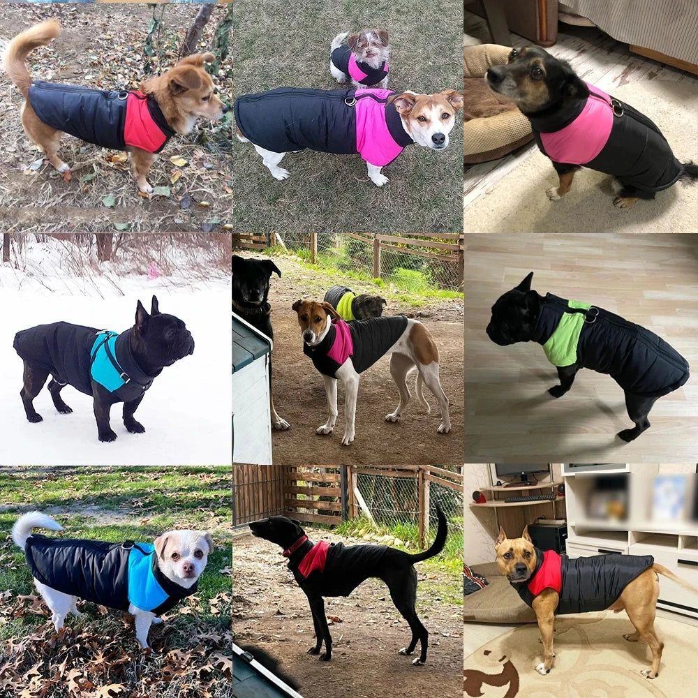 Insulated Waterproof Dog Winter Jacket