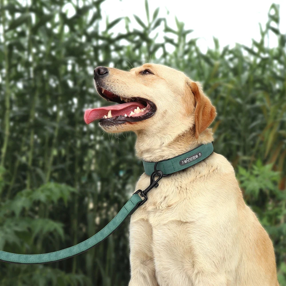 Personalized Leather Dog Collar and Leash Set